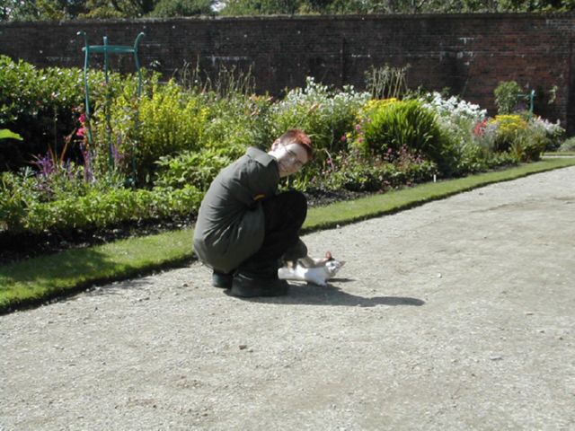 garden