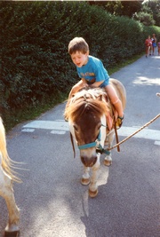 Click for full size picture of donkey