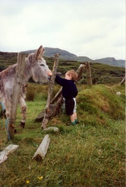 Click for full size picture of donkey_bite