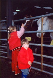 Click for full size picture of horses