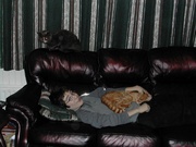 Click for full size picture of sofa